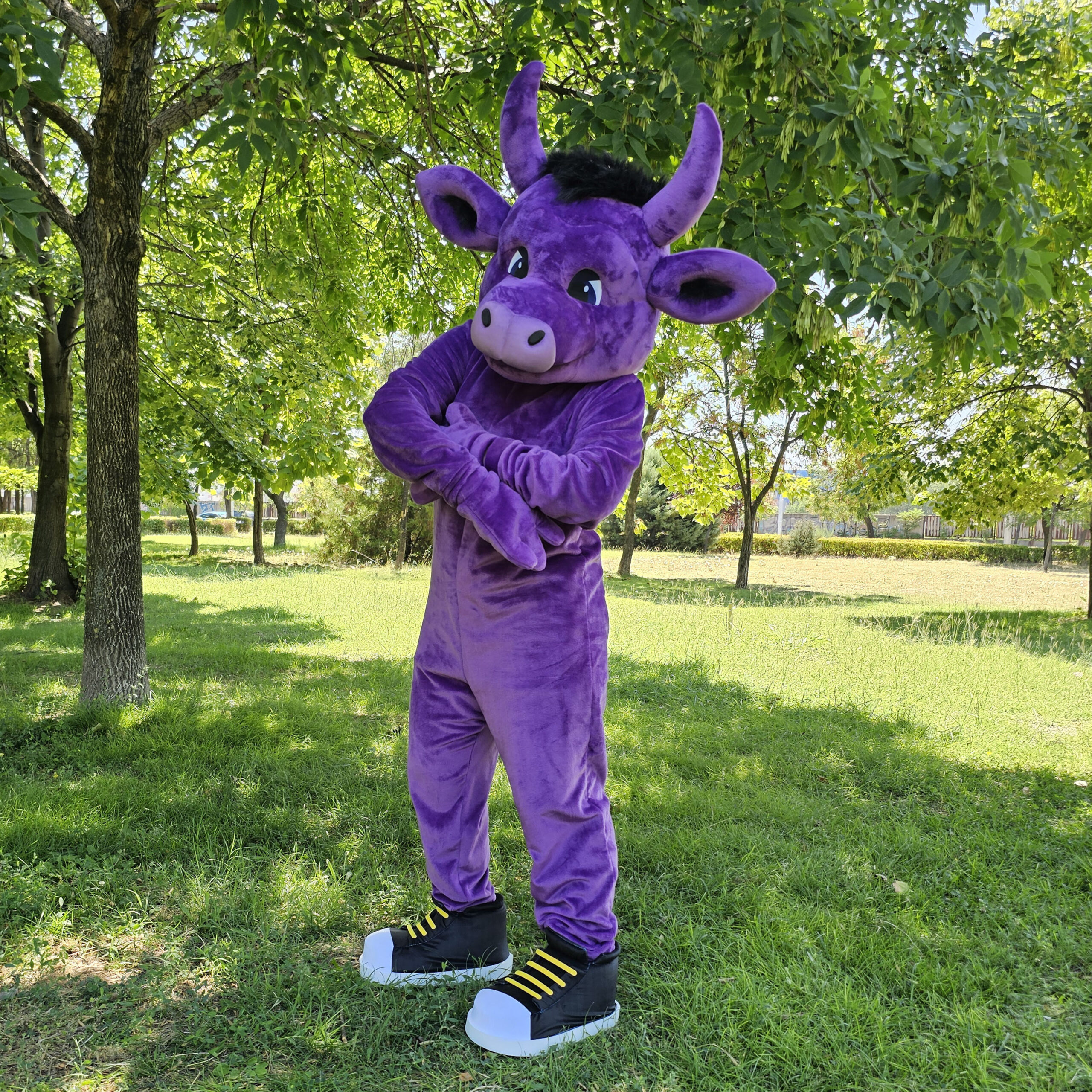 Mascot costumes